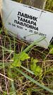 Захоронение ID 3575679