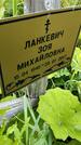 Захоронение ID 3575733