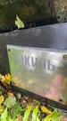 Захоронение ID 3576498