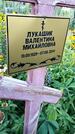 Захоронение ID 3577446