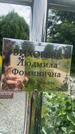 Захоронение ID 3579823