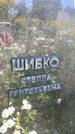 Захоронение ID 3580778