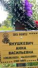 Захоронение ID 3580784