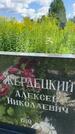 Захоронение ID 3580844