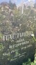 Захоронение ID 3580849