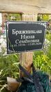 Захоронение ID 3581104