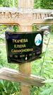 Захоронение ID 3581801