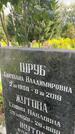 Захоронение ID 3583821