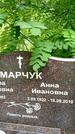 Захоронение ID 3583847