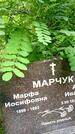 Захоронение ID 3583849