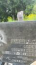 Захоронение ID 3584003