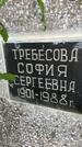 Захоронение ID 3584078