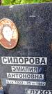 Захоронение ID 3584606
