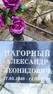 Захоронение ID 3584650