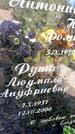 Захоронение ID 3585363