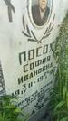 Захоронение ID 3585642