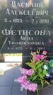 Захоронение ID 3586356