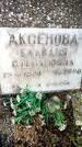 Захоронение ID 3587920