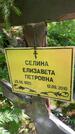 Захоронение ID 3588337
