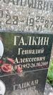 Захоронение ID 3589722