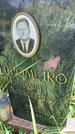 Захоронение ID 3590083
