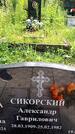 Захоронение ID 3590308