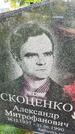 Захоронение ID 3590403