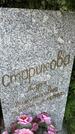 Захоронение ID 3590404