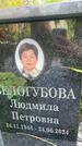 Захоронение ID 3590525