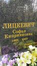 Захоронение ID 3590840