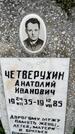 Захоронение ID 3601980