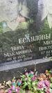 Захоронение ID 3602165