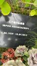 Захоронение ID 3603702