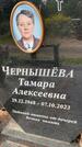 Захоронение ID 3603793