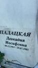 Захоронение ID 4697250