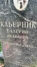 Захоронение ID 5010909