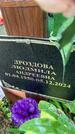 Захоронение ID 6339761