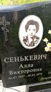 Захоронение ID 6339875