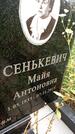 Захоронение ID 6339877