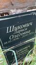 Захоронение ID 6340739