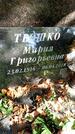 Захоронение ID 6342360