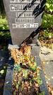 Захоронение ID 6342395