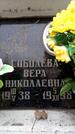 Захоронение ID 6353104