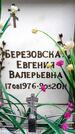 Захоронение ID 6356456