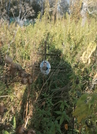 Захоронение ID 6360439