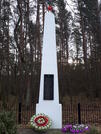 Братская могила 351