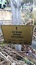 Захоронение ID 6378121