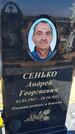 Захоронение ID 6378408