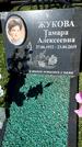 Захоронение ID 6379006