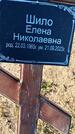 Захоронение ID 6380819